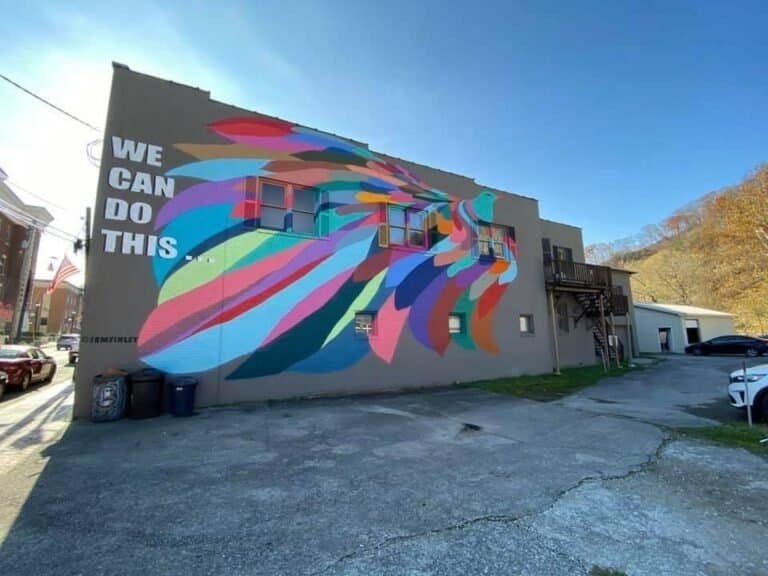 Appalachian Arts Alliance — case study cover