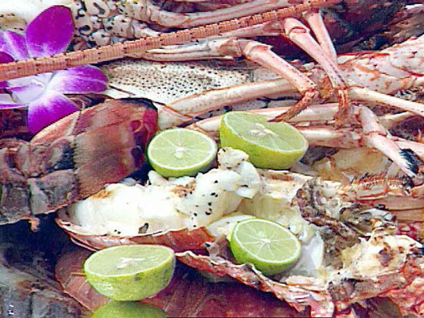 Florida Keys Lobster and Yellowtail Snapper Barbecue with Fresh Mojo, Mango Salsa, and Garlic Whipped Boniato