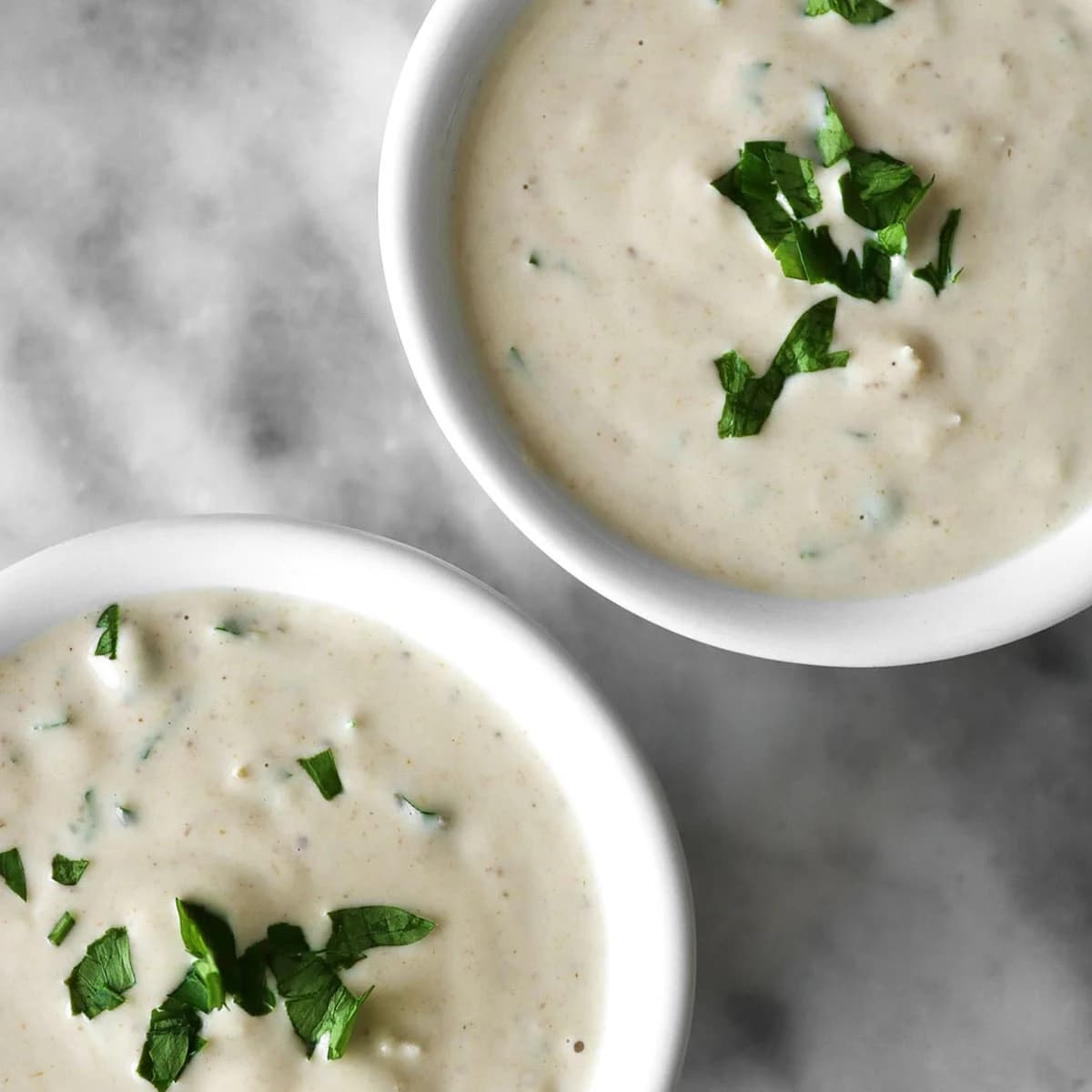 Tarator Garlic Tahini Sauce