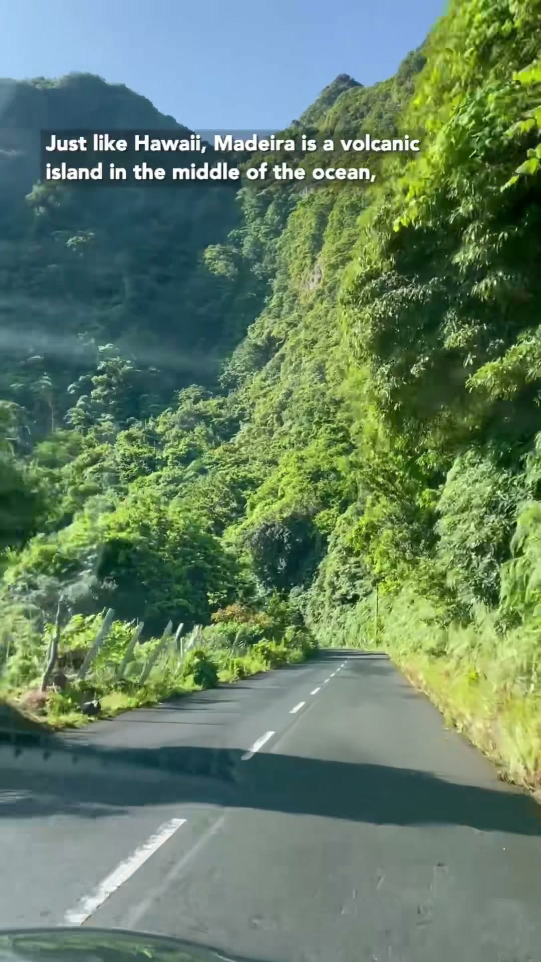 Madeira, Portugal: Europe's Hawaii