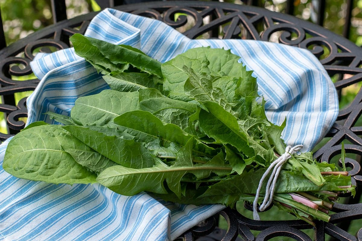 7 Tasty Dandelion Greens Recipes You'll Be Desperate To Try