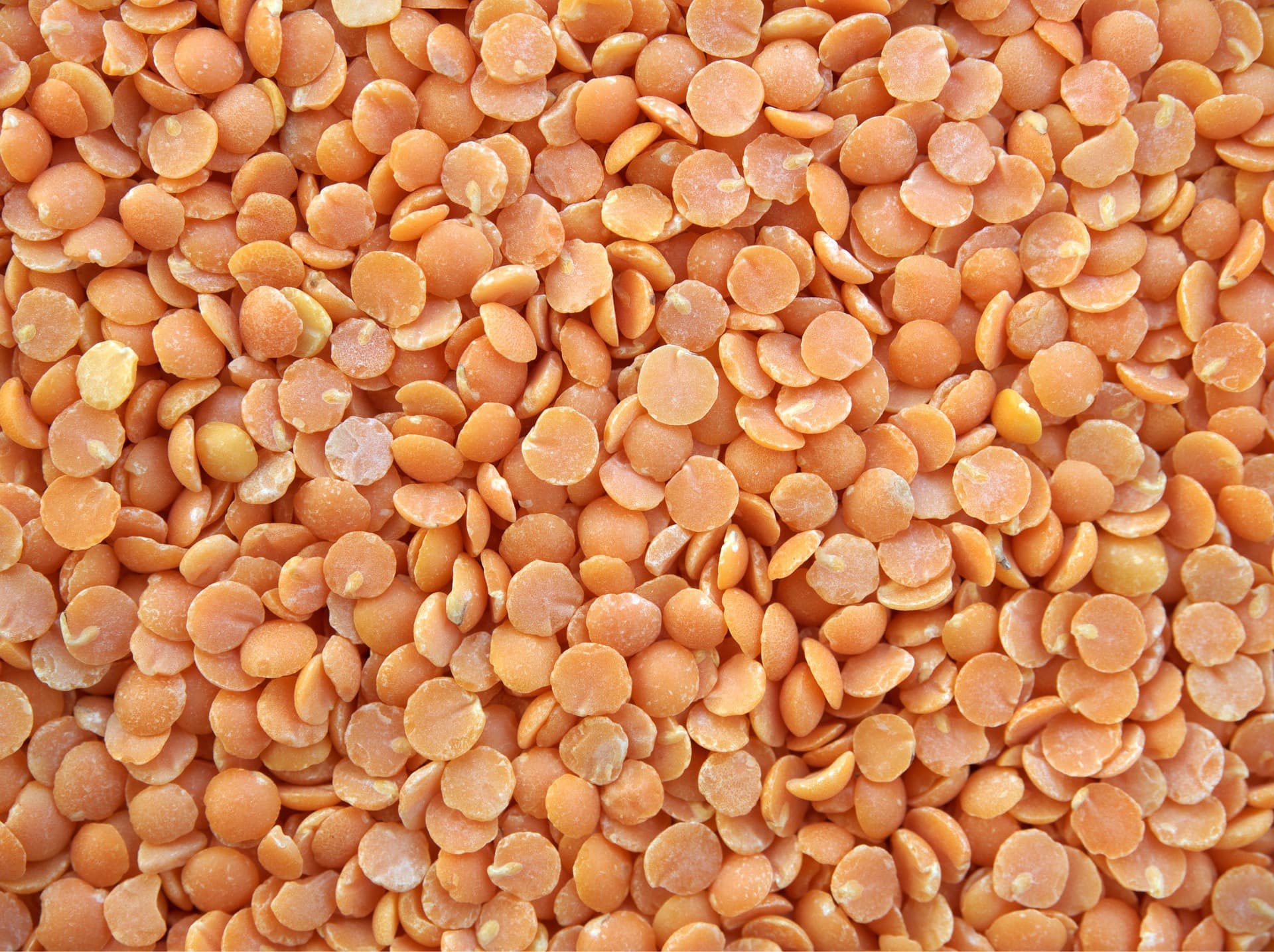 How to Cook Red Lentils