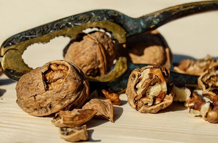 Turkish Tarator (Walnut and Garlic Sauce)