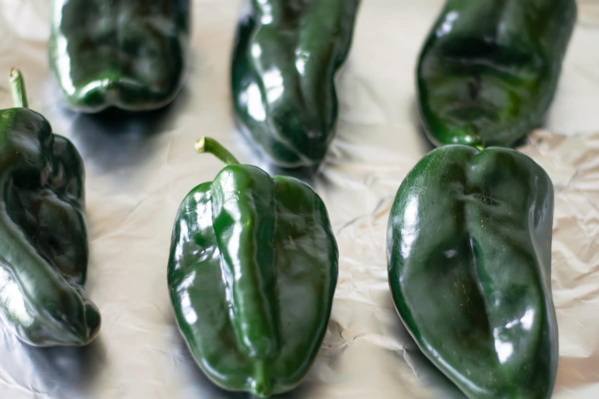 Rajas