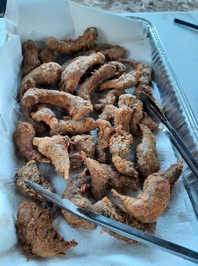 Squirrel Recipes