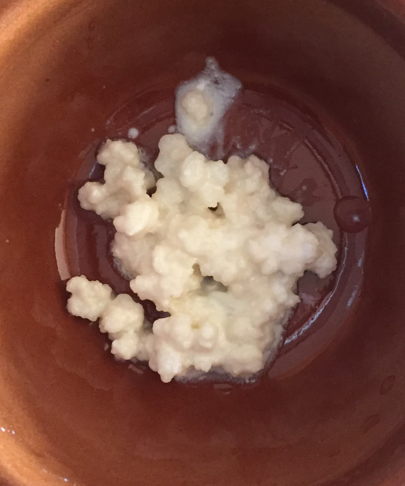 Easy Home-made Kefir