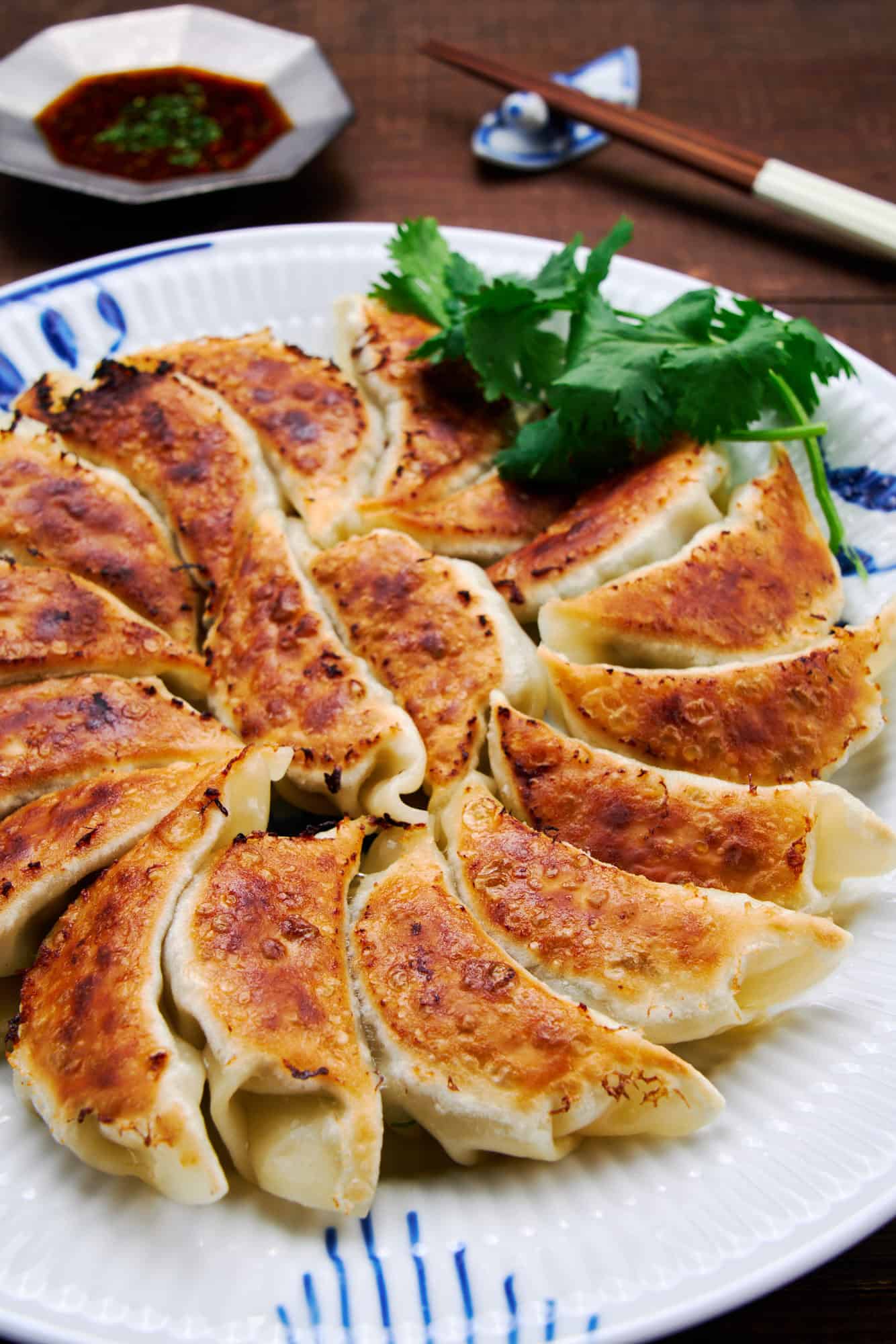 Best Pork Gyoza