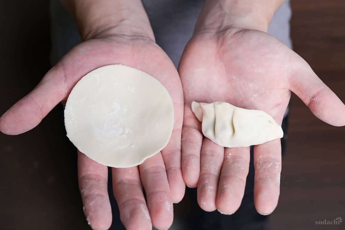 Easy Homemade Gyoza Wrappers
