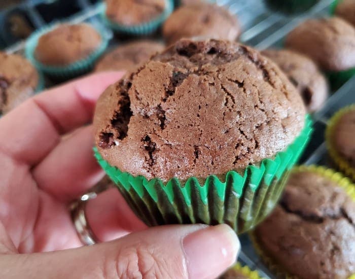 Double Chocolate Zucchini Muffins