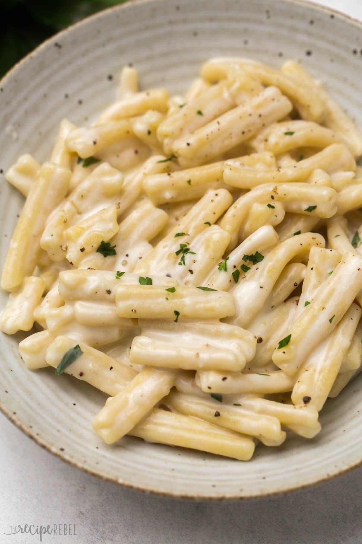 Creamy Garlic Gemelli Pasta