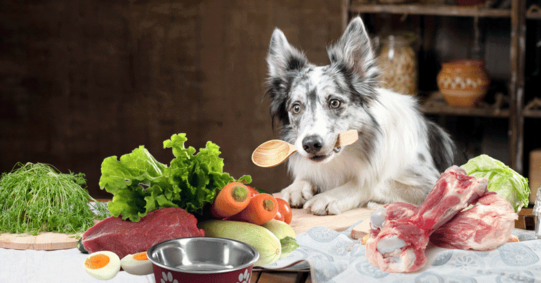Homemade Dog Food