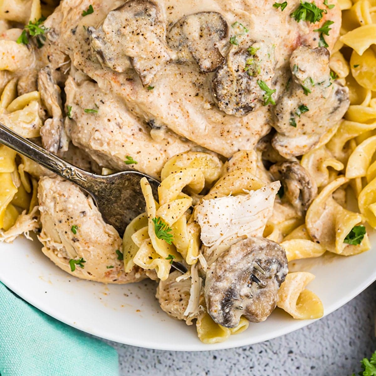 Cream of Mushroom Chicken
