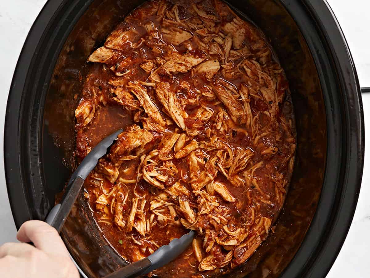 Salsa Chicken