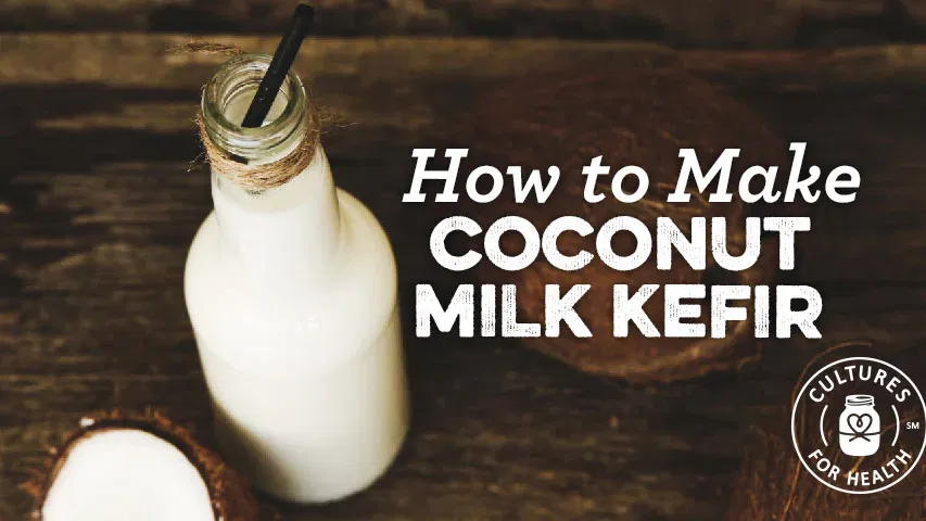 Coconut Milk Kefir: Our Favorite Coconut Kefir