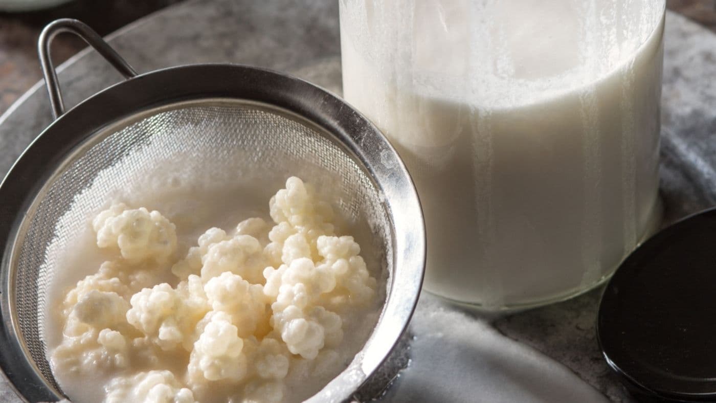 Homemade Milk Kefir
