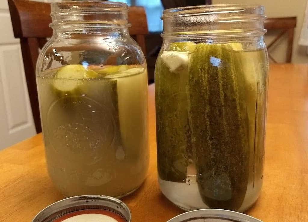 Fermented Pickles