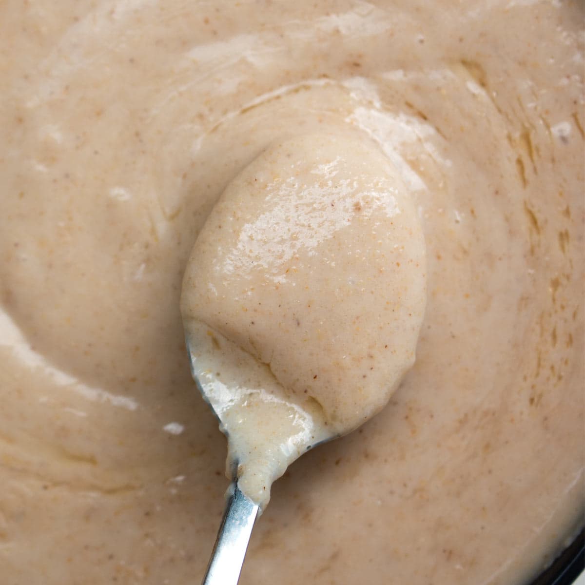 Tibetan Tsampa Porridge