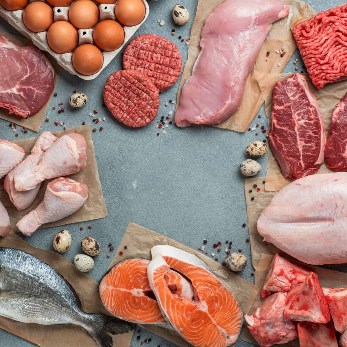 20 Carnivore Diet Recipes