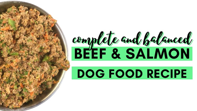 Dog Food – Beef, Salmon and Pumpkin