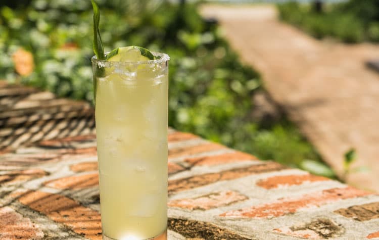 Hortelano Jalapeño Tequila Cocktail