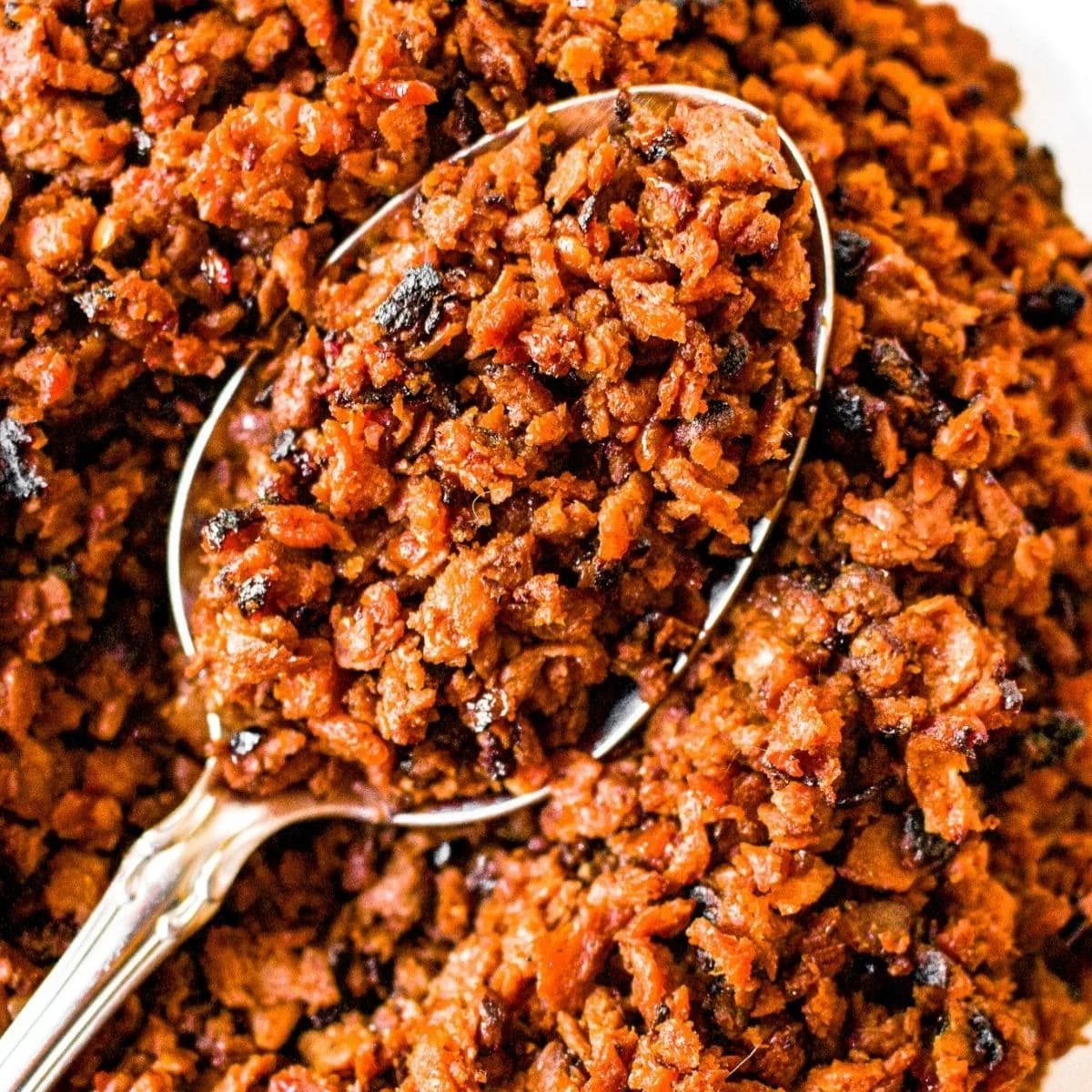 Vegetarian Ground Beef Substitute