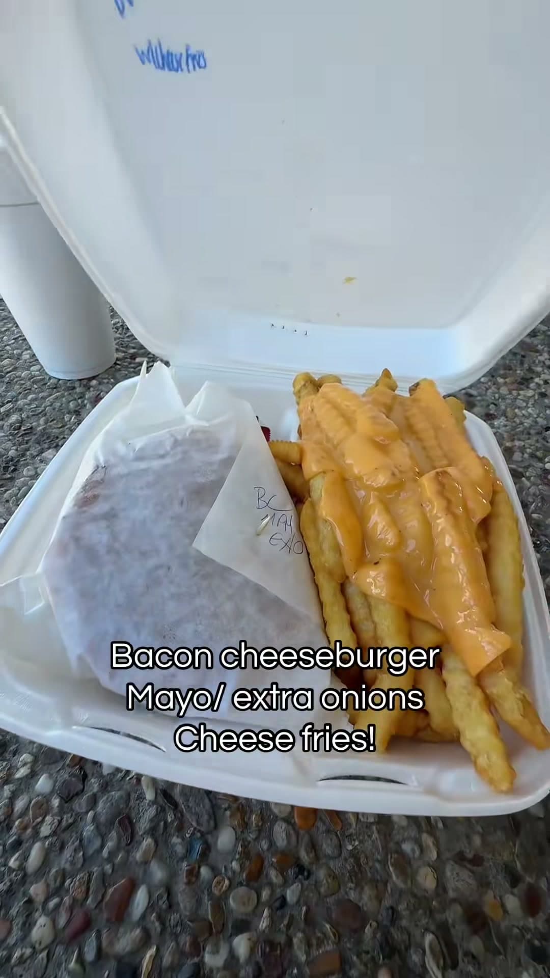 Bacon Cheeseburger and Cheese Fries