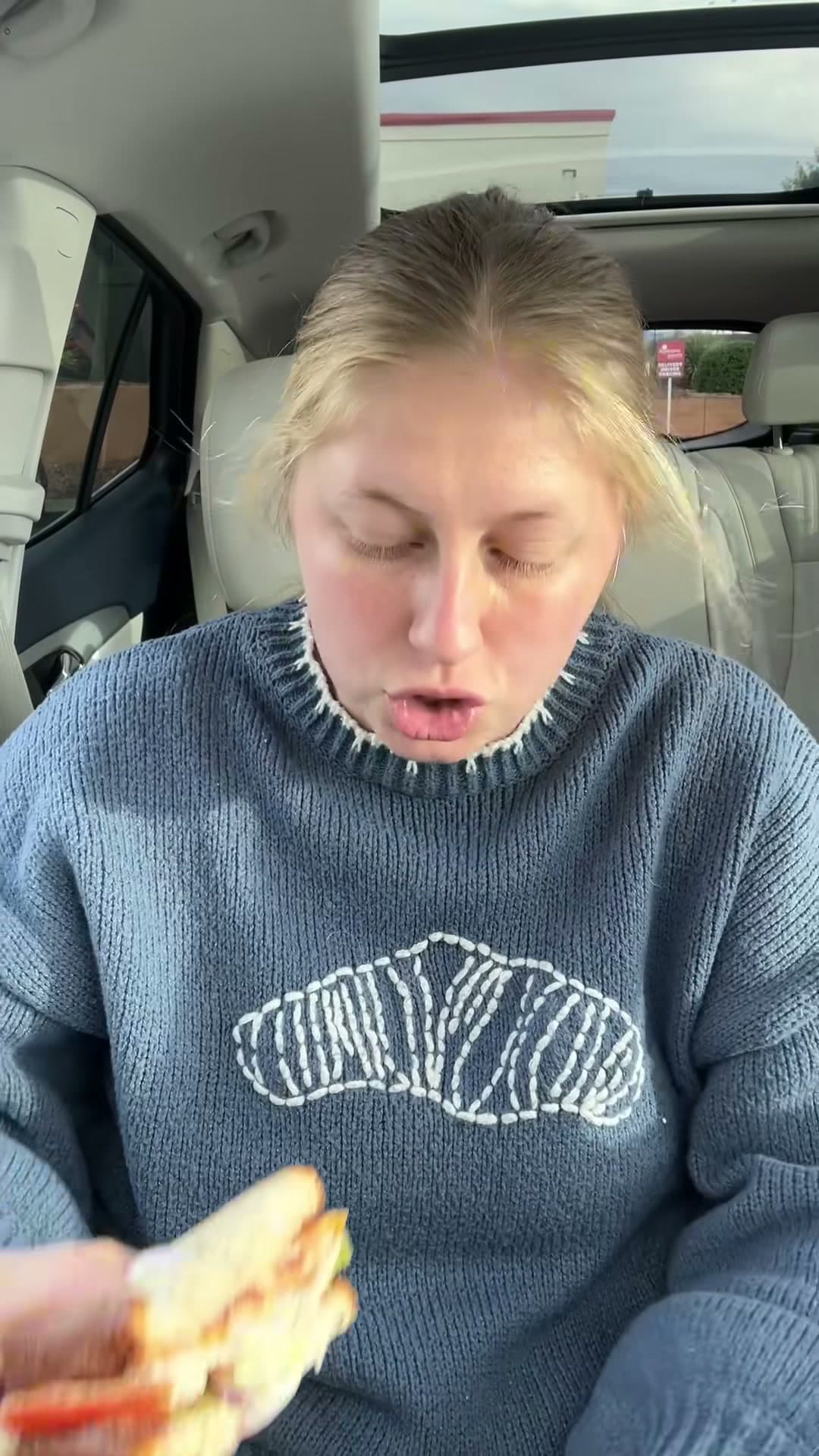 Arby's Sandwich Review