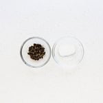 Ingredients to make iced oolong tea on the countertop.