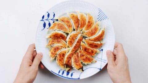 Plating gyoza with the crispy side up.