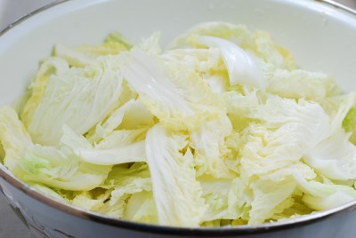 DSC 0867 e1433217194210 - Baechu Geotjeori (Fresh Kimchi)