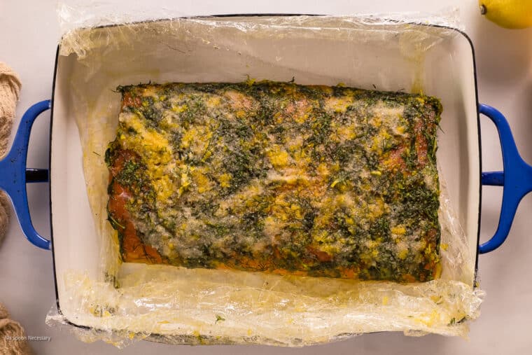 Overhead photo of a piece of salmon that